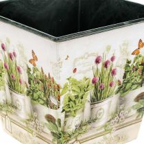 Product Herb pot, planter with motif, planter H13cm W13.5cm