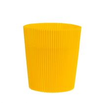 Pleated cuffs yellow 12.5cm 100p.