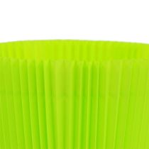 Pleated cuffs light green 8.5cm 100p