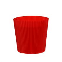 Pleated cuffs red 10.5cm 100p.