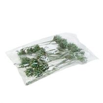 Product Plumosum 1 Green frosted 25 pcs