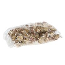 Product Short stemmed plumosum 3-6 1kg