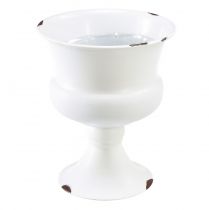 Product Cup Vase Decoration Cup White Rust Ø13.5cm H15cm Shabby Chic