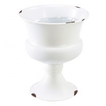 Cup Vase Decoration Cup White Rust Ø13.5cm H15cm Shabby Chic