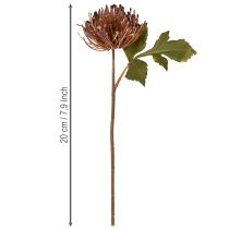 Product Protea artificial pincushion Leucospermum purple 30cm 6 pcs