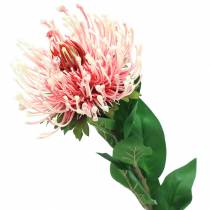 Protea Artificial Pink 73cm