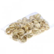 Product Pumpkin Decoration Bell Cup Pumpkin Cup bleached 50 pcs