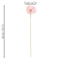 Product Dried flower decorative branch dandelion for elegant home decoration 50cm 4pcs