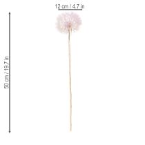 Product Dandelion decorative flower for modern interior design, home accessory, 50cm, 4 pieces