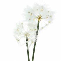Product Artificial Meadow Flower Meadow Salsify White 57cm
