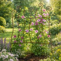 Product Trellis, climbing aid, curved metal, artistic garden decoration, 72cm