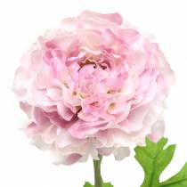 Product Ranunculus lilac H45cm