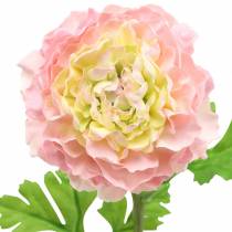 Product Ranunculus pink H45cm