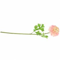 Product Ranunculus pink H45cm