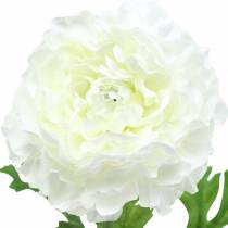 Product Ranunculus White H45cm