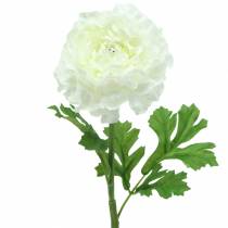 Product Ranunculus White H45cm