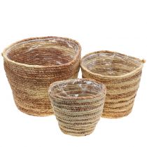 Rattan basket natural/brown Ø26/22/16cm 3pcs