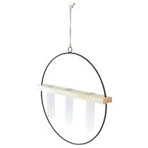 Product Test tube decorative vase decorative ring metal black 29×4×29cm