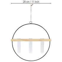 Product Test tube decorative vase, metal ring, black, hanging, modern