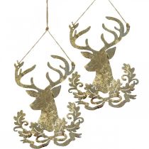 Product Reindeer to hang, Christmas decoration, deer head, metal pendant golden antique look H23cm 2pcs