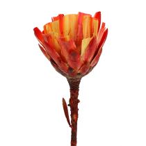 Product Repens Cup Red 25 pcs