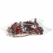 Product Repens Rosette Red 8cm - 9cm 25 pcs