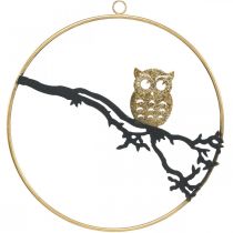 Window decoration owl on branch autumn, decorative ring metal 22cm