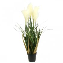 Product Potted Sedge Grass Artificial Potted Plant Cream, Green 79cm