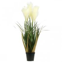 Product Reed grass in a pot Artificial potted plant Cream, Green 79cm
