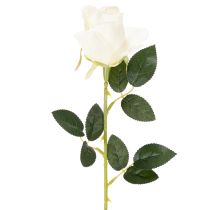 Product Artificial White Rose Long Stem for Vase 62cm 12pcs