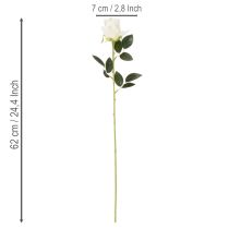 Product Artificial White Rose Long Stem for Vase 62cm 12pcs