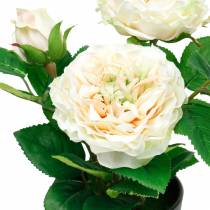 Peony in a pot, romantic decorative rose, silk flower cream white