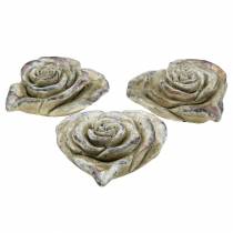 Concrete rose heart gray, violet Ø13 H5cm 3pcs