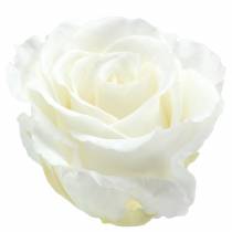 Product Infinity Roses Large Ø5.5-6cm White 6 pcs