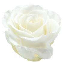 Product Infinity roses large Ø5.5-6cm white 6pcs