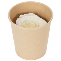 Product Preserved Rose Heads, Durable Table Decoration for a Romantic Atmosphere, Wedding Decoration, 5cm, 6 Pieces