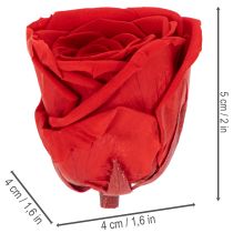 Product Preserved Roses Decorative Romantic Accentuate for Living Spaces or Weddings 5cm 6pcs