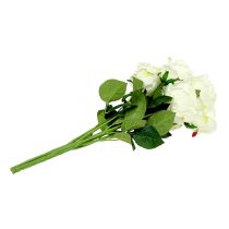 Product Bouquet of roses white, cream 55cm