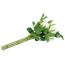 Product Bouquet of roses white L46cm
