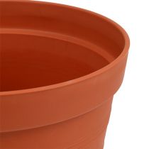 Product Rose pot plastic 19cm terracotta, 1pc