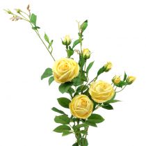 Product Rose branch yellow 100cm