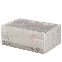 Product Forever Roses Preserved Infinity Roses Red Ø6cm 6pcs