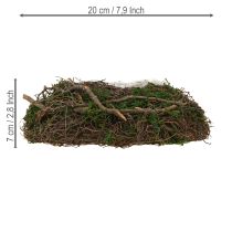 Product Round Natural Woven Planter with Moss and Inner Liner – 20cm