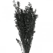 Ruscus branches decorative branches dried flowers black 200g