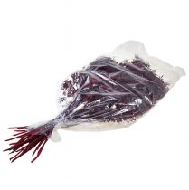 Product Ruscus Red Decorative Branches Dried Dark Red 75-95cm 1kg