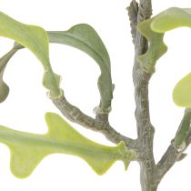 Product Saw Leaf Cactus Artificial Epiphyllum anguliger L68cm 3 pcs