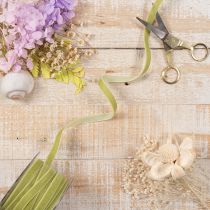 Product Velvet Ribbon Sage Green 10mm x 20m for Floristry and Crafts
