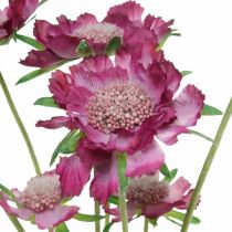 Product Scabious artificial flower pink summer flower H64cm bunch of 3pcs