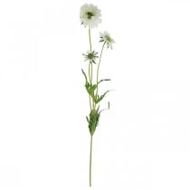 Product Scabiosa Artificial Flower White Garden Flower H64cm Bunch of 3pcs
