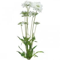 Product Scabious artificial flower white garden flower H64cm bunch with 3pcs